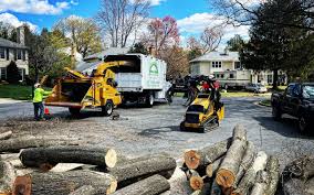 Seasonal Cleanup (Spring/Fall) in Columbia, MO