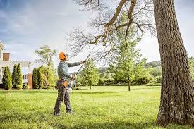 Pest Control for Lawns in Columbia, MO